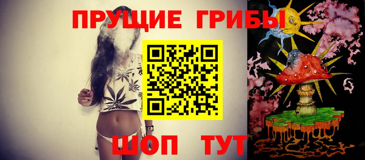 где можно купить   Галлюциногенные грибы Cubensis  Вход с VPN  Елабуга 