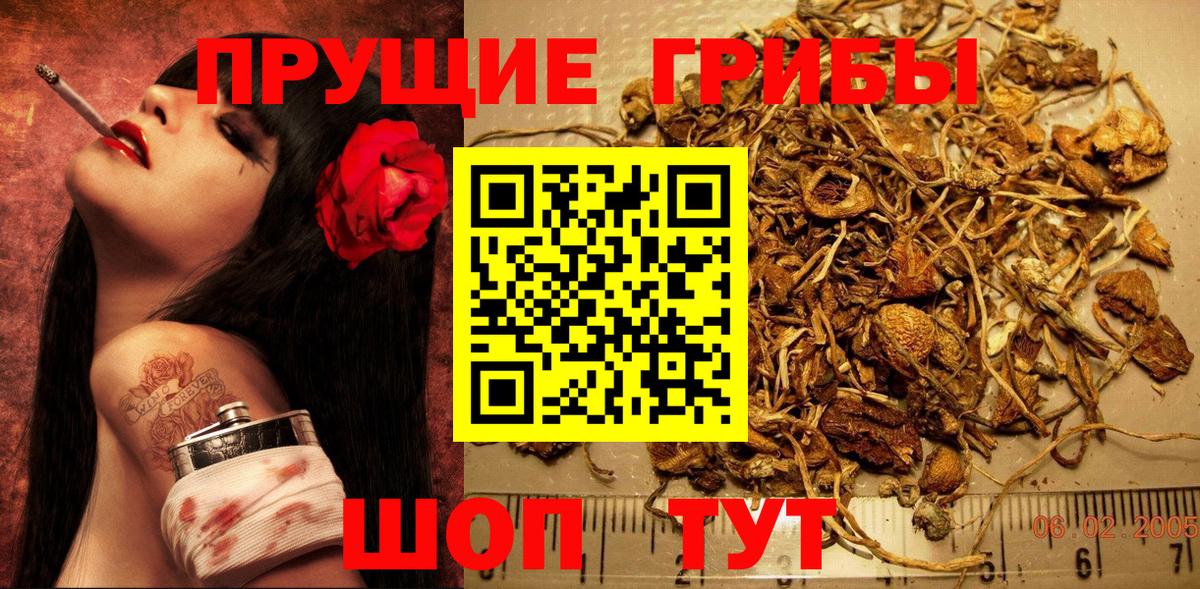 Псилоцибиновые грибы GOLDEN TEACHER Елабуга